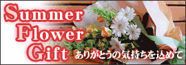 �T�}�[�M�t�g�ߓ��o��